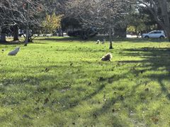 -东北农业大学饺子园