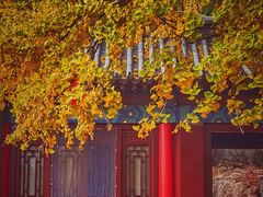 -竹子庵公园
