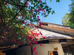 -是拉差龙虎园(Permanently closed)