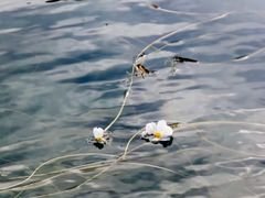 -丽江泸沽湖景区