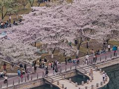 -西北湖绿化广场