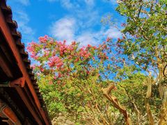 -剑门关风景区