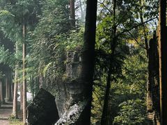 -梭布垭石林景区