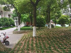 -苏州工业园区星湾学校