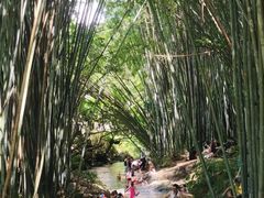 -黄埔油麻山森林公园