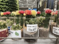 -鹿岛生活(熙地港店)