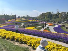 -南通洲际绿博园