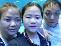 -华夏文旅海洋公园