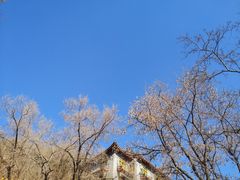 -高尔山公园