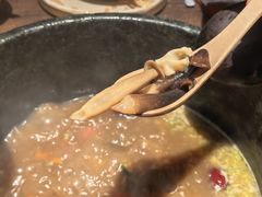 -蘑界·野生菌火锅(深业上城店)