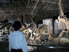 -世界恐龙谷景区