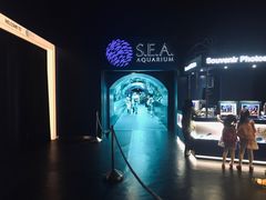 -新加坡海洋生态馆