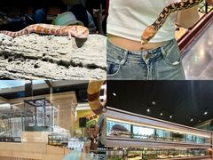 -帕帕拉兹宠物(亚洲旗舰店)