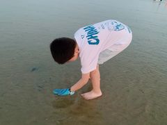 -刘家湾赶海园