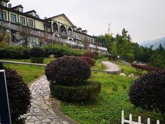 -四川省成都市彭州市白鹿镇