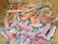 -79号渔船海鲜饭店(宝安店)