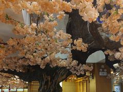 -金石青云炭火烤肉店(中房上东花墅店)