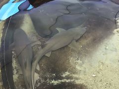 -鸿通城购物中心