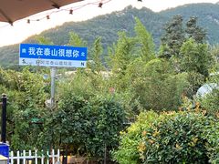 -蘇河湾·新鲁菜·泰山宴(泰山店)