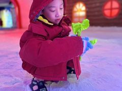 -灵玲国际马戏城