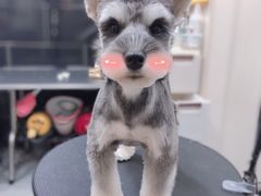 -小尾巴宠物店(万科·金域华庭店)