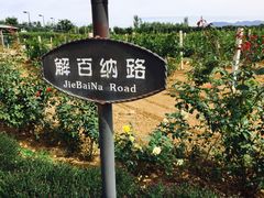 -北京张裕爱斐堡酒庄