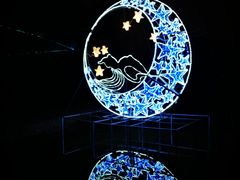 -洛阳市隋唐城遗址植物园