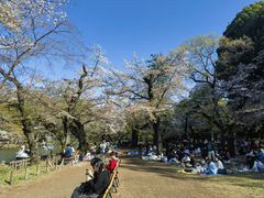 -井之头恩赐公园