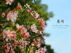 -星巴克(广州南站A18检票口楼上)