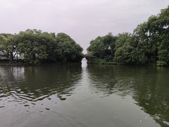 -西湖外事游船(花港观鱼码头)