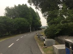 -贡湖湾湿地公园