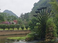 -靖西鹅泉风景区