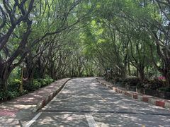 -广州莲花山旅游区