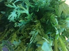 茼蒿-川西坝子(老军营店)