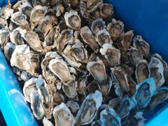 烤生蚝-大学城夜市大排档(凤栖路店)