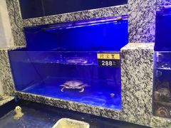 -新虹楼饭庄(崇明陈家镇店)