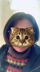 点击看大图 -震轩