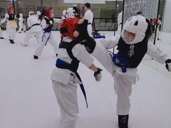 -极真空手道修远道场