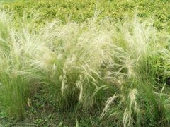 -贵阳市花溪国家城市湿地公园