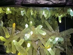 -湖南省地质博物馆