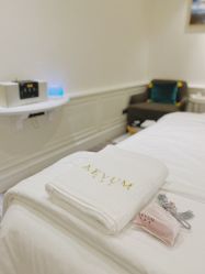 -奥斯芬欧系贵族SPA