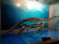 -自贡恐龙博物馆