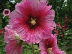 -白塘生态植物园