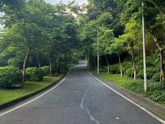 -火炉山森林公园