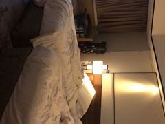 -新加坡乌节希尔顿酒店 (SG Clean)