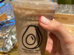 -油梨树AVOCADO TREE(嘉里中心店)