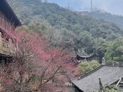 -韬光茶庵