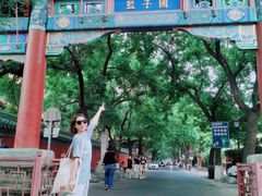 -北京国子监胡同