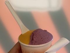 -Dip in Gelato(富民路店)
