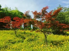 -南京市江宁方山